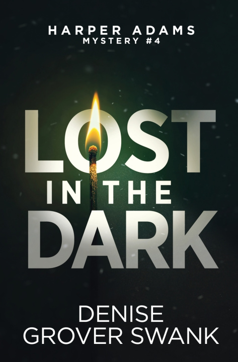 Kniha Lost in the Dark Denise Grover Swank