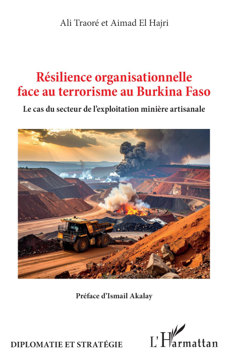 Kniha Résilience organisationnelle face au terrorisme au Burkina Faso Ali Traoré