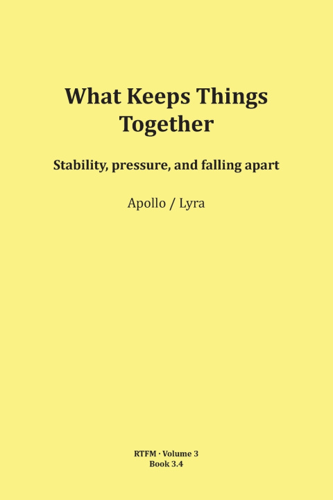 Kniha What Keeps Things Together Mario Schipflinger