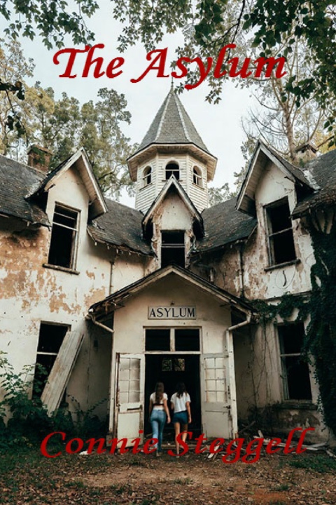 Kniha The Asylum Connie Steggell