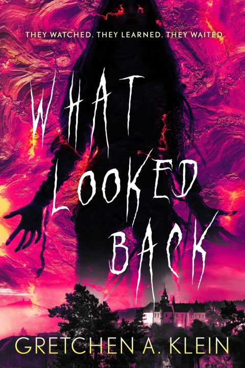 Kniha WHAT LOOKED BACK GRETCHEN A. KLEIN