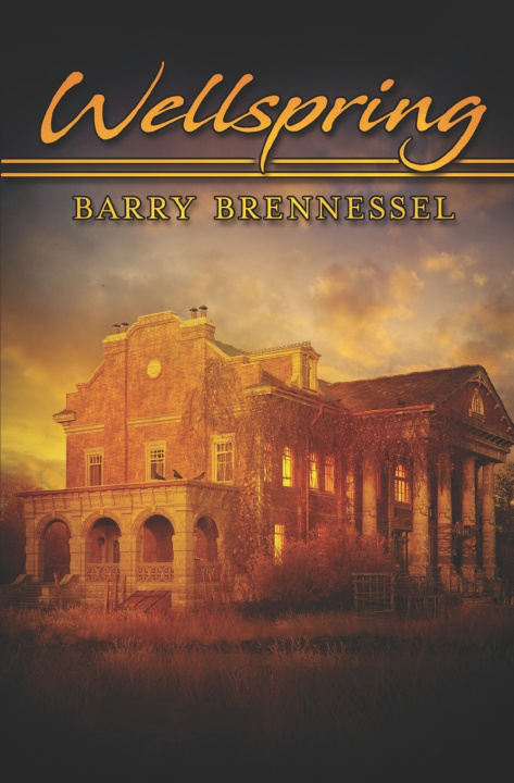 Kniha Wellspring Barry Brennessel