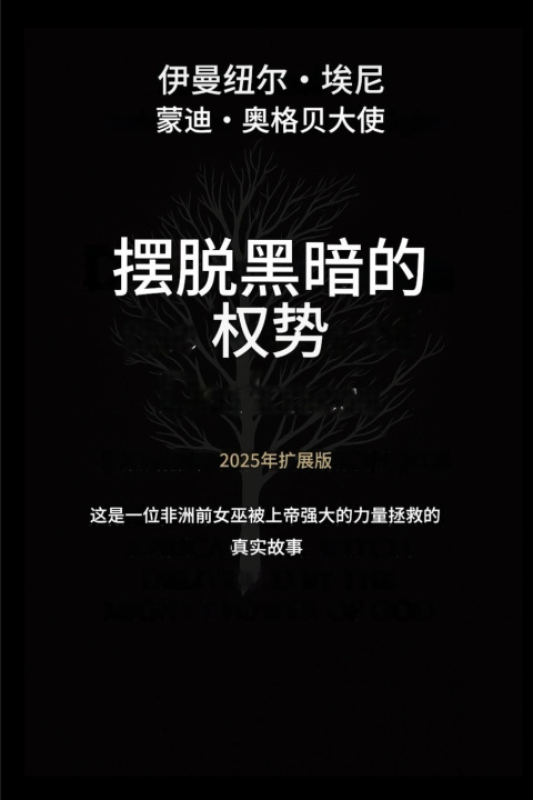 Book 摆脱黑暗势力的掌控 - 2025年扩展版 Emmanuel Eni