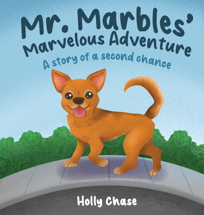 Kniha Mr. Marbles' Marvelous Adventure Holly Chase
