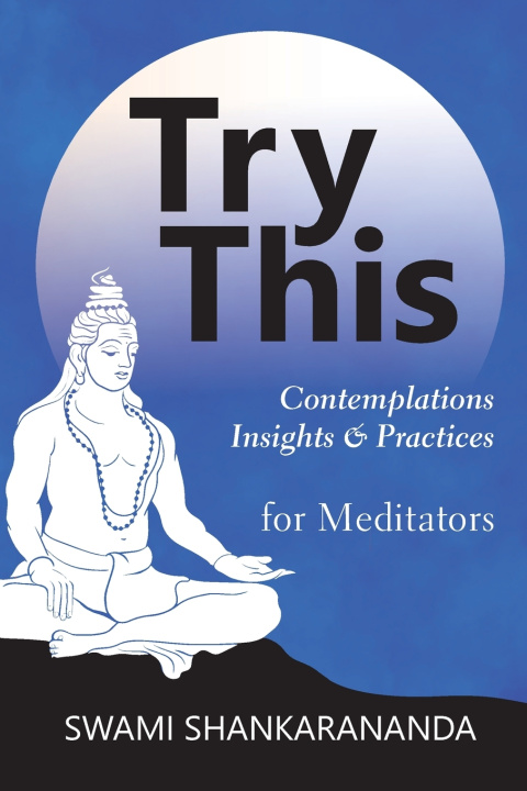 Kniha Try This Swami Shankarananda