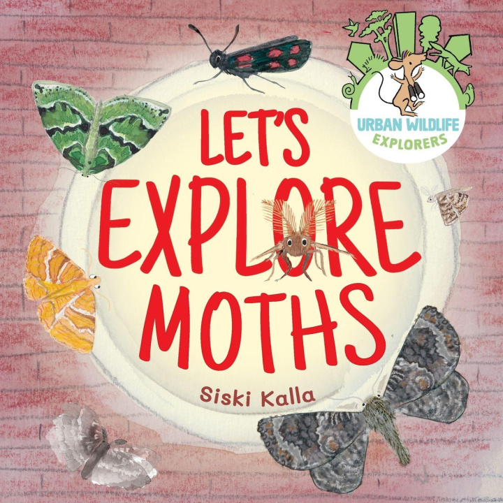 Kniha Let's Explore Moths Siski Kalla