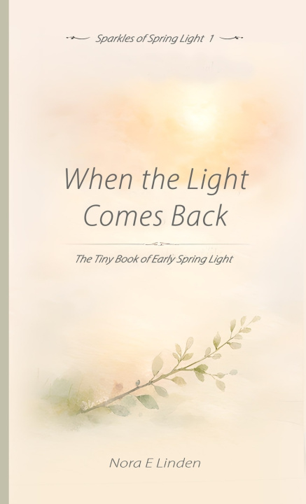Kniha When the Light Comes Back Nora E Linden