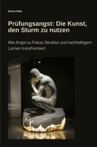Kniha Prüfungsangst: Die Kunst, den Sturm zu nutzen Soren Hale