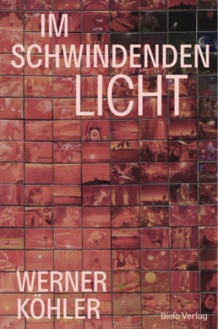 Kniha IM SCHWINDENDEN LICHT Werner Köhler
