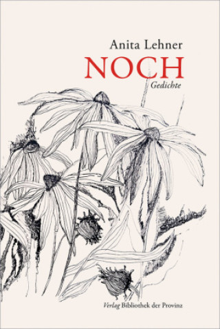 Kniha Noch Anita Lehner
