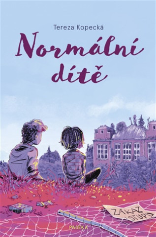 Könyv Normální dítě Tereza Kopecká