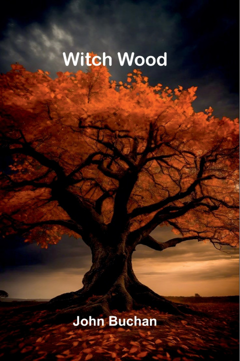 Kniha Witch Wood John Buchan