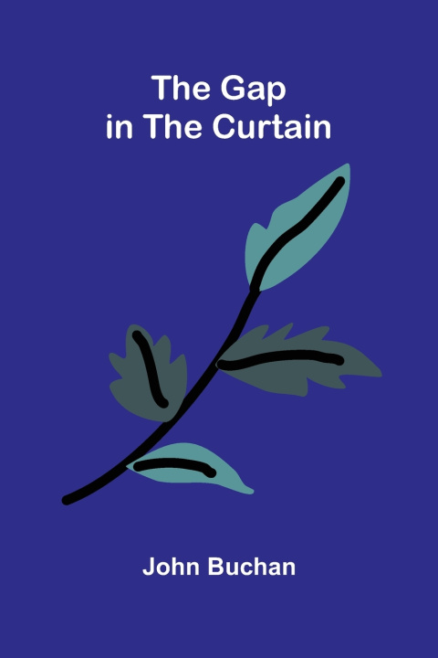 Kniha The Gap in the Curtain John Buchan