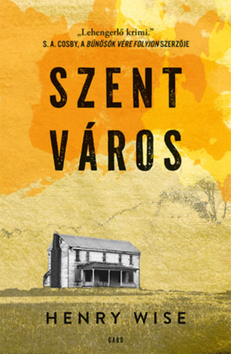 Kniha Szent város Henry Wise