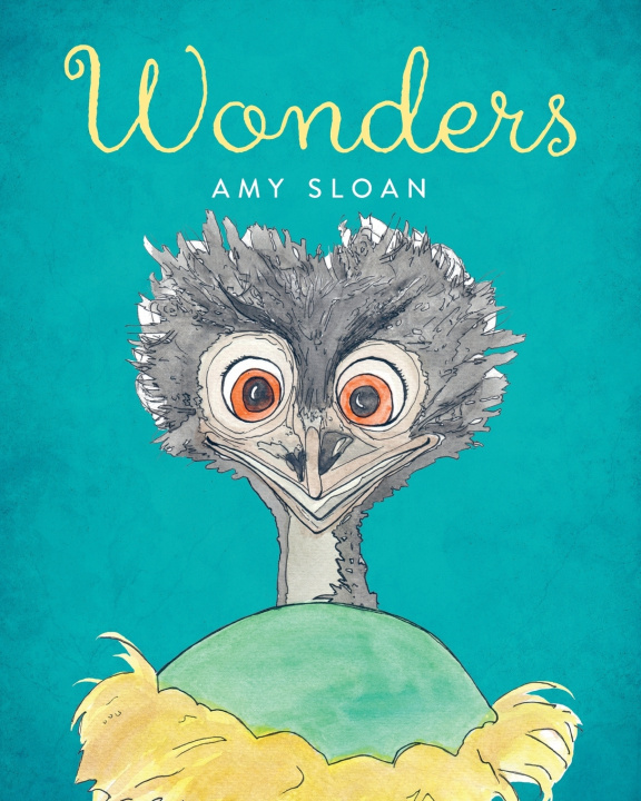 Kniha Wonders Amy Sloan