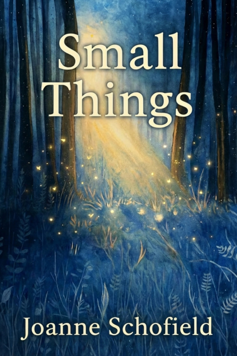 Könyv Small Things Joanne Schofield