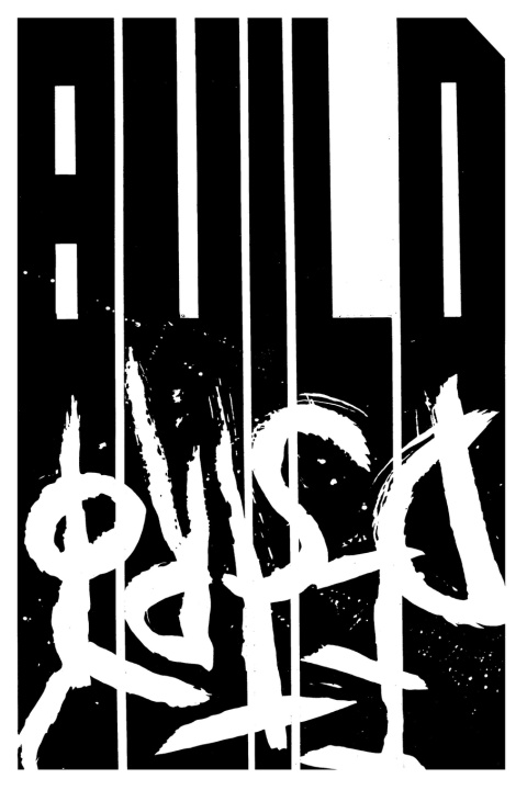 Könyv Build Destroy Rob Woods