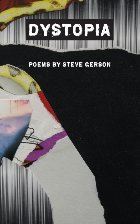 Book Dystopia Steve Gerson