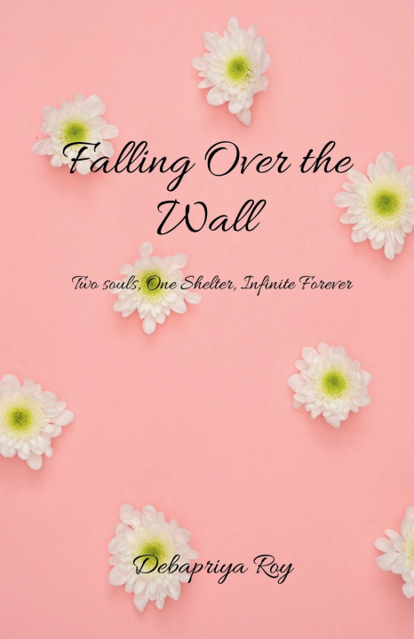 Kniha Falling over the wall Debapriya Roy