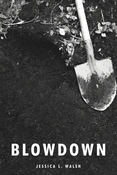 Kniha Blowdown Jessica L. Walsh