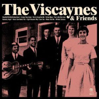 Audio Viscaynes & Friends 