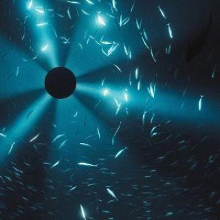 Audio Midnight Zone Laurel Halo