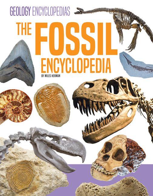 Kniha Fossil Encyclopedia 