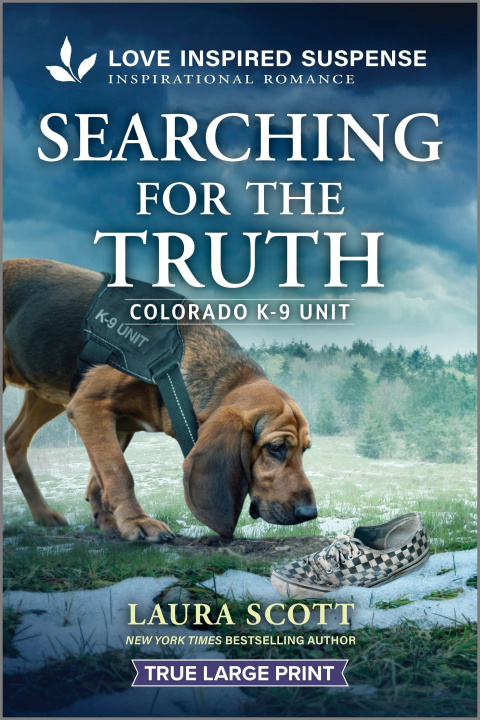 Kniha Searching for the Truth 