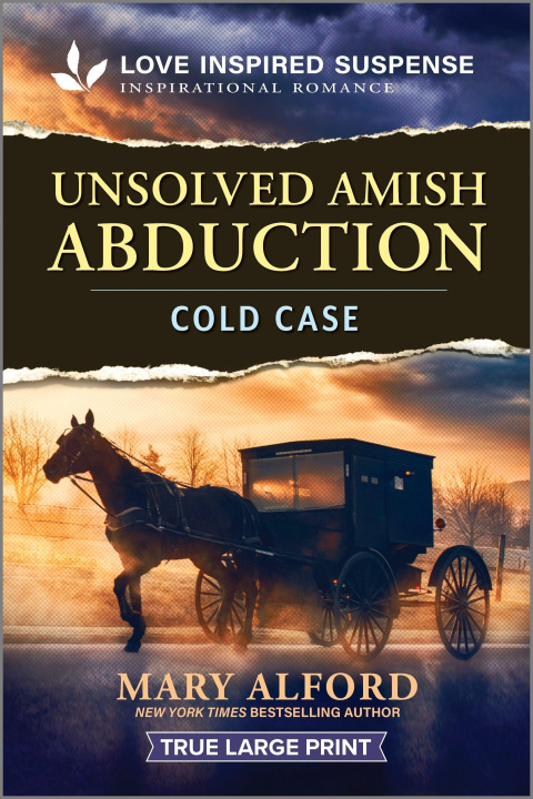 Kniha Unsolved Amish Abduction 