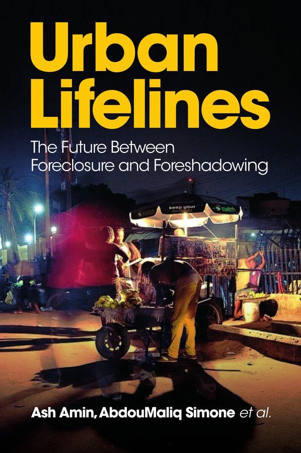 Kniha Urban Lifelines Ash Amin