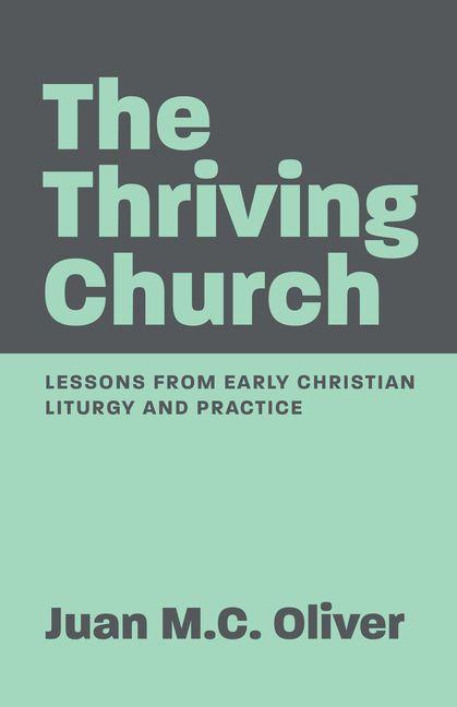 Buch The Thriving Church 
