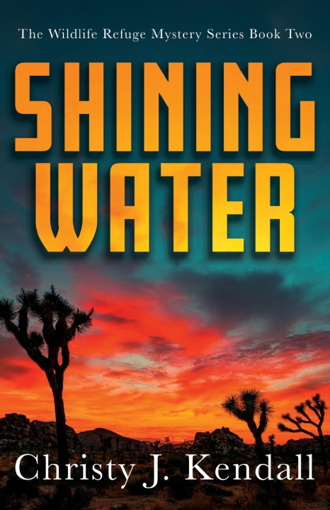 Kniha Shining Water Christy J. Kendall