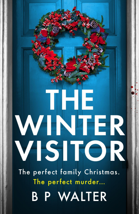 Kniha Winter Visitor B P Walter