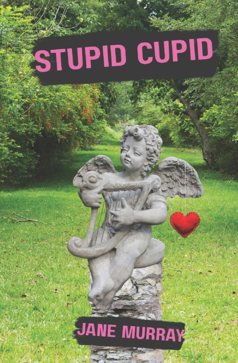 Kniha Stupid Cupid Jane Murray