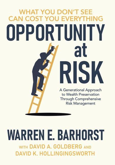 Kniha Opportunity at Risk Warren E. Barhorst