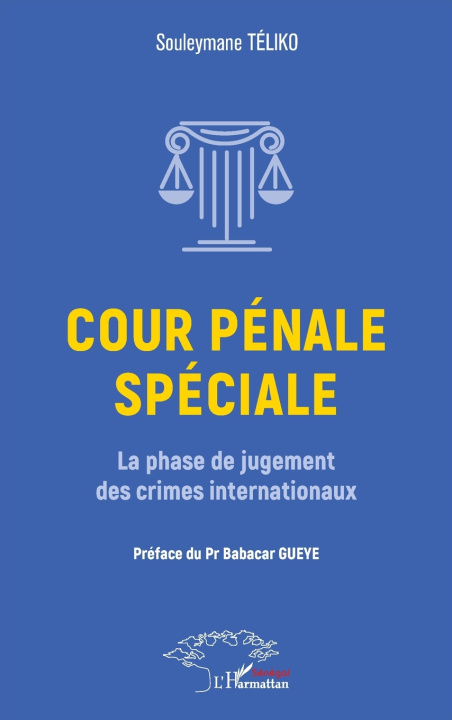 Kniha Cour pénale spéciale Souleymane Téliko