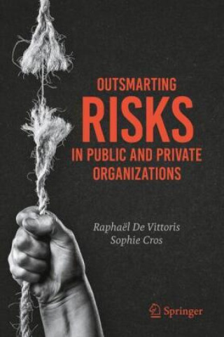 Kniha Outsmarting Risks in Public and Private Organizations Raphaël De Vittoris