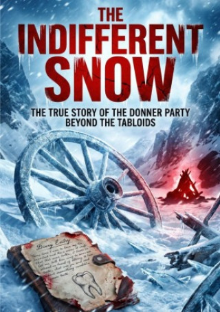 Kniha Indifferent Snow Robert D. Cane