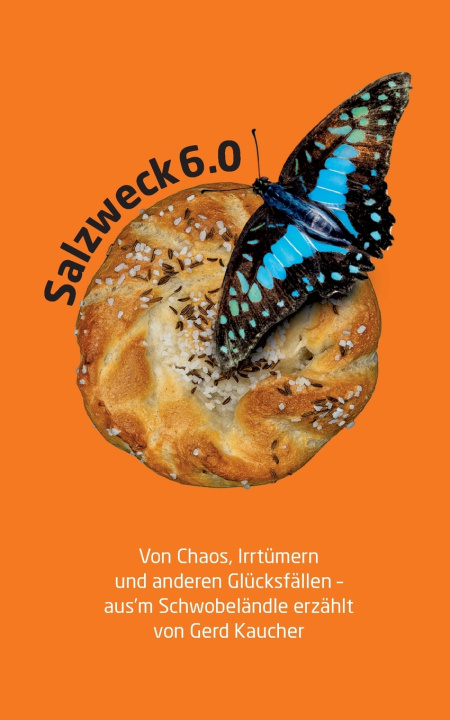 Könyv Salzweck 6.0 Gerd Kaucher