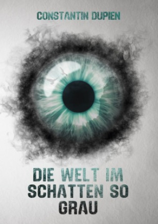 Buch Die Welt im Schatten so grau Constantin Dupien