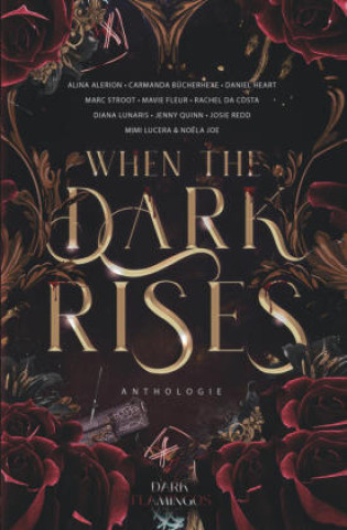 Kniha When the Dark Rises Mimi Lucera