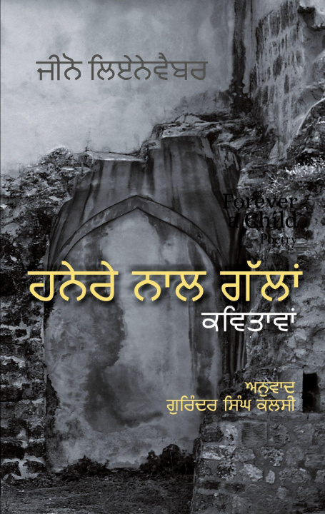 Kniha Hello Darkness Gurinder Singh Kalsi