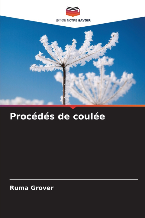Buch Procédés de coulée Ruma Grover