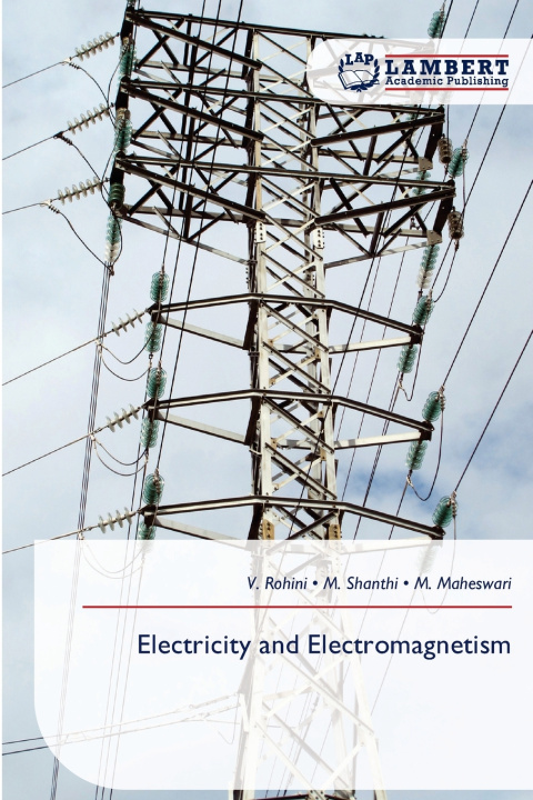 Kniha Electricity and Electromagnetism M. Shanthi