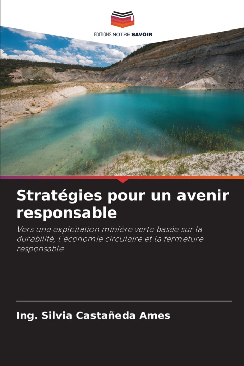 Kniha Stratégies pour un avenir responsable Ing. Silvia Castañeda Ames