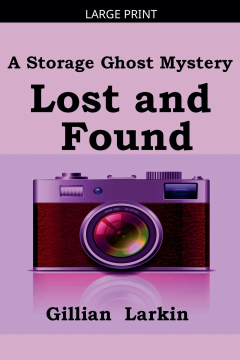 Kniha Lost And Found Gillian Larkin