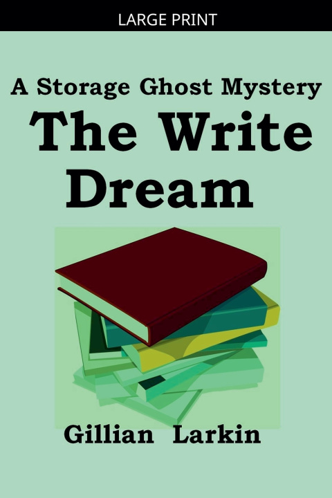 Kniha The Write Dream Gillian Larkin