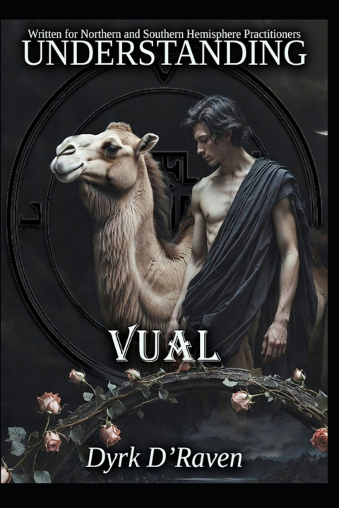 Kniha Understanding Vual Dyrk D'Raven