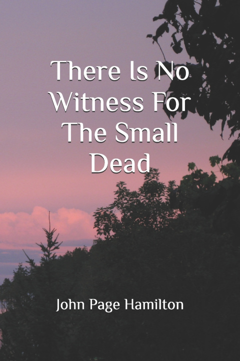 Kniha There Is No Witness For The Small Dead John Page Hamilton