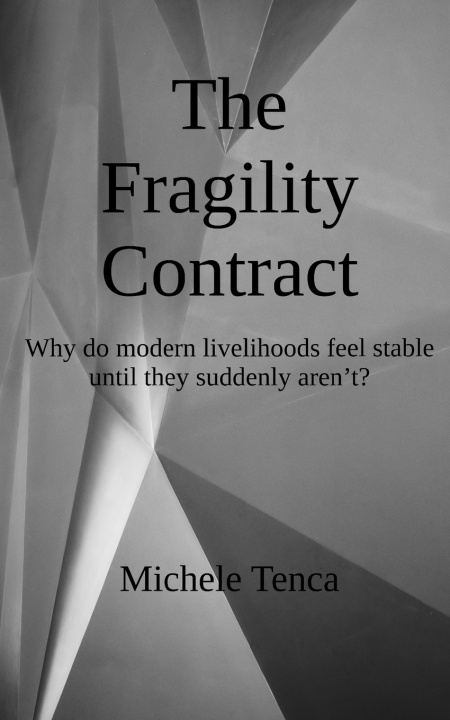 Kniha The Fragility Contract Michele Tenca
